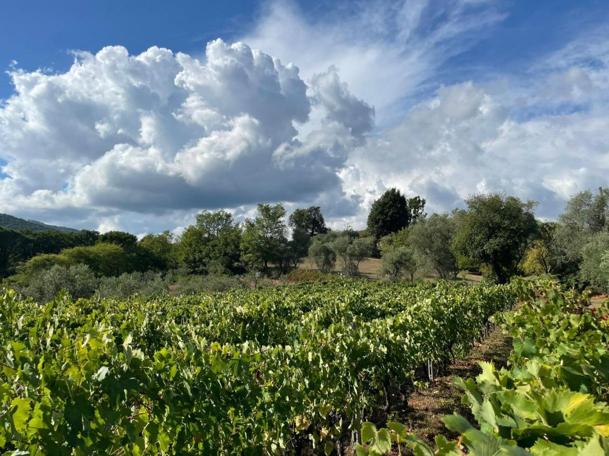 All'Ombra Del Tiglio Pistoya Exterior foto