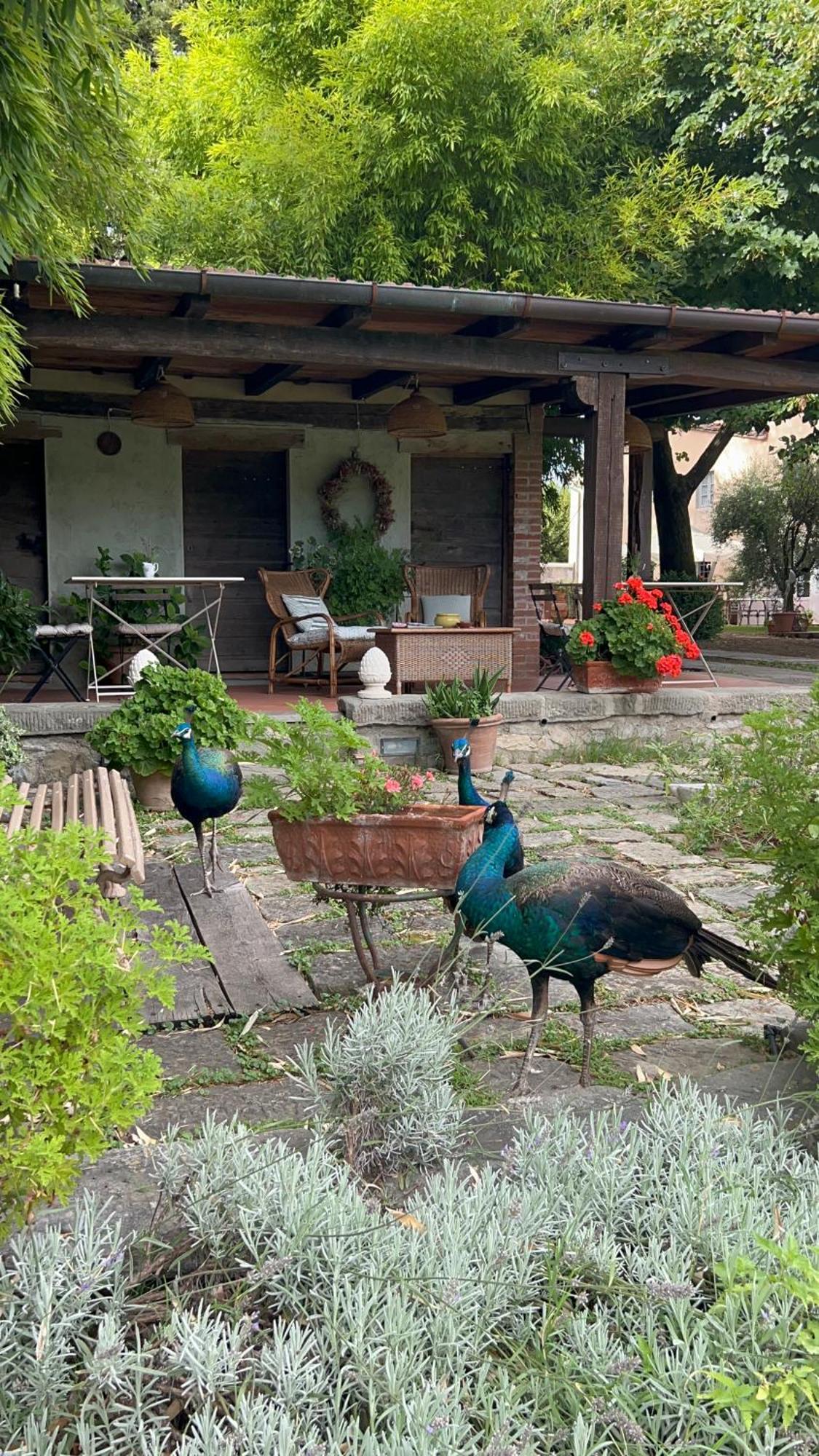 All'Ombra Del Tiglio Pistoya Exterior foto